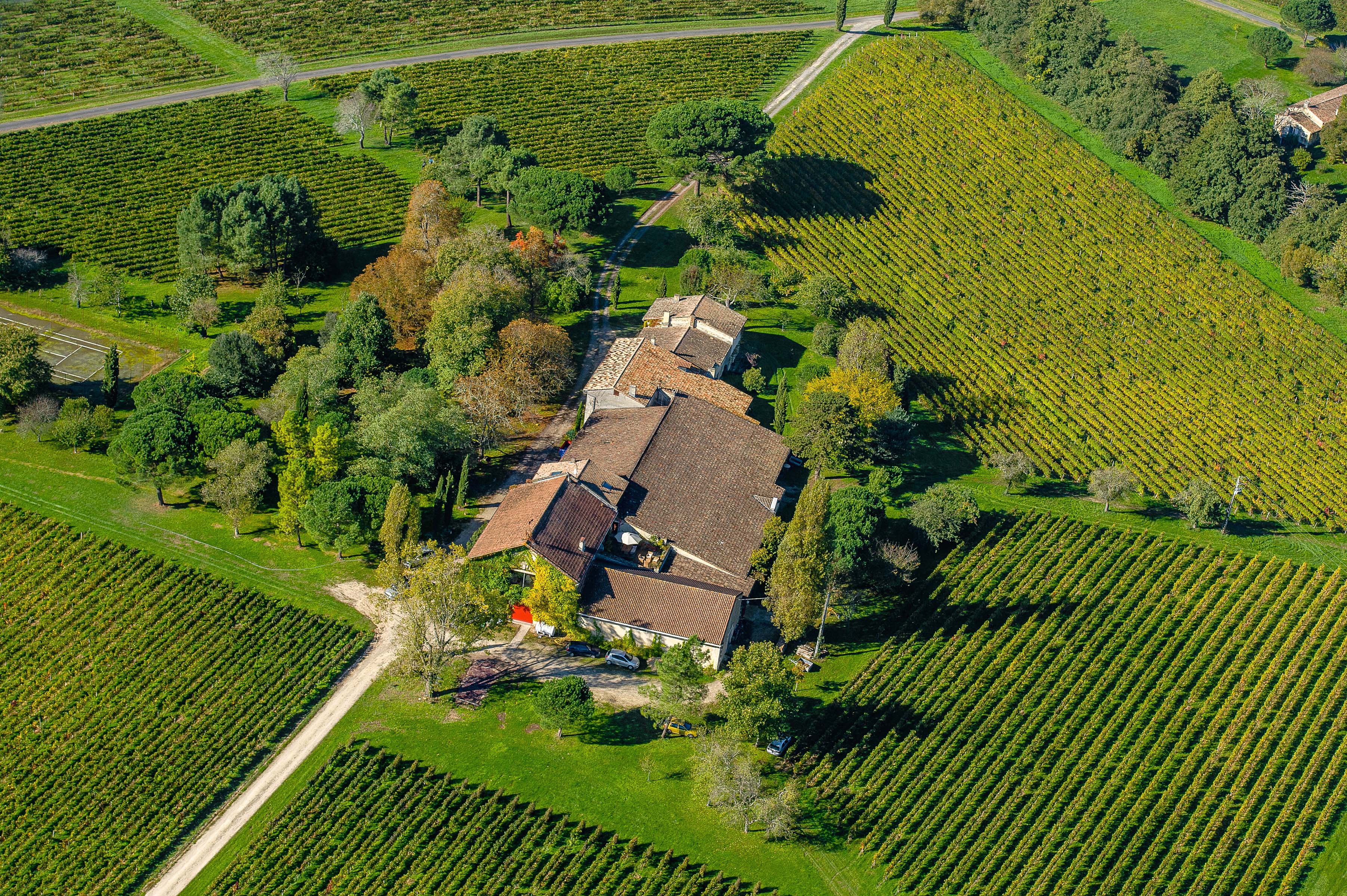 Le vignoble du Château Macquin