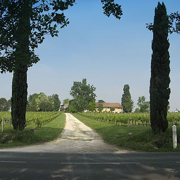 L'entrée du Château Macquin