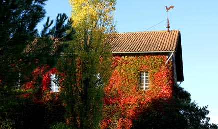 "La Cloche et le le Coq du Château Macquin"