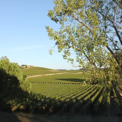Château Macquin ETE (2)