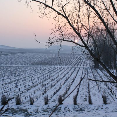 Chateau Macquin HIVER