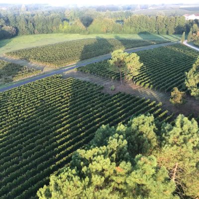 Contactez Château Macquin en Gironde pour une visite, une dégustation ou toute demande. Accès, horaires et formulaire sur la page contact.